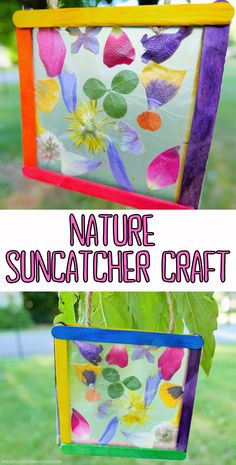 an art project made with nature suncather craft