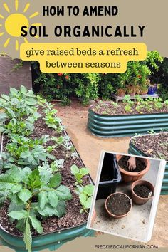 several different types of garden beds with text overlay that says how to amen soil organic