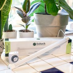 a white toothbrush sitting on top of a table next to a plant and other items