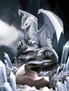 a white dragon sitting on top of a rock