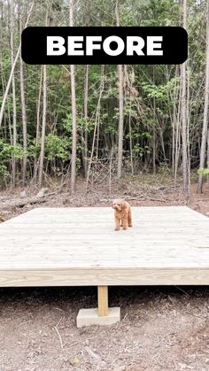 a dog standing on top of a wooden platform in the middle of a wooded area