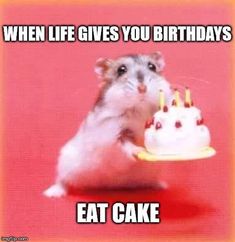 a hamster holding a birthday cake with candles on it's face and caption saying, when life gives you birthdays eat cake