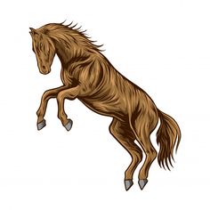 a brown horse jumping in the air with it's front legs spread wide open