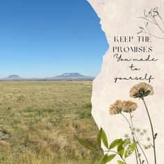 a field with grass and flowers in the foreground that reads, keep the proms grounded to powerful