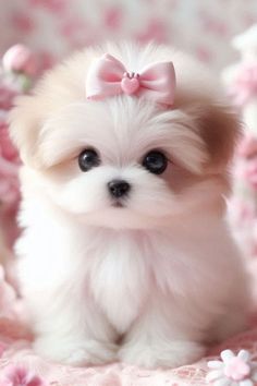 a small white dog with a pink bow on it's head sitting in a bed of flowers