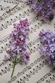 some purple flowers are laying on sheet music