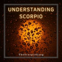 the title for the book, understanding scorpio by the scorpion gang