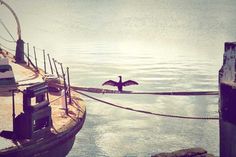 a bird is flying over the water next to a dock with ropes and buoys