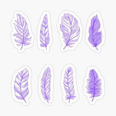 six different purple feathers stickers on a white background, each with one single feather in the middle