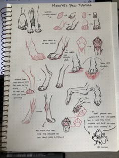 an open notebook with drawings and instructions on how to draw paws, feet and toes