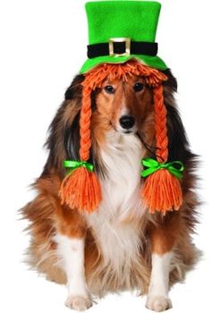 a dog is wearing a green hat and orange braids for st patrick's day