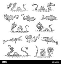 an image of different sea creatures in black and white ink on paper by artist person