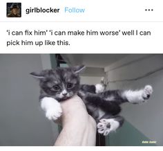 a person holding a kitten in their hand with the caption'i can fix him '