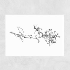 a black and white drawing of a flower on a branch with watercolor pencils