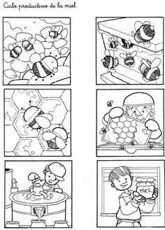 the storyboard shows different stages of bees