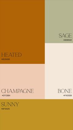 the color scheme for an interior design project, with different colors and font options on it