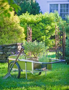 an old wheelbarrow is used as a planter in the garden