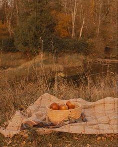 two apples are sitting in a basket on a blanket near some trees and grass,