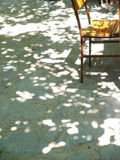 a chair sitting on top of a cement ground next to a tree filled with leaves