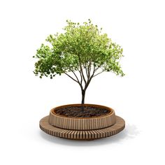 a small tree in a wooden pot on top of a white surface with a circular planter