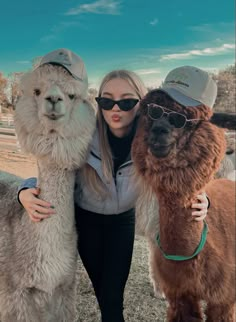 two llamas and a woman in sunglasses are standing next to each other with their arms around one another