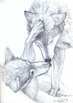 a pencil drawing of two wolfs with their heads touching each other's noses