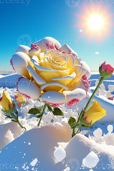 a yellow rose sitting in the snow on a sunny day with sun shining over it