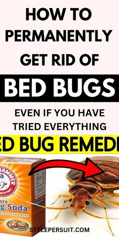 a bed bug with the words how to permanently get rid of bed bugs even if you have tried everything red