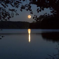 the full moon is shining brightly in the night sky over a lake with water and trees