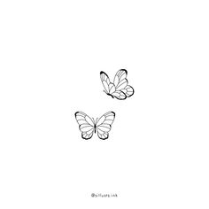 two butterflies flying side by side on a white background