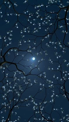 the full moon is shining brightly in the night sky with white flowers on it's branches