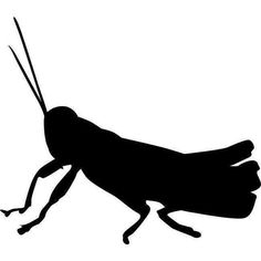 a black and white silhouette of a grasshopper insect on a white background, with long legs