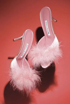 ♔ Manolo Blahnik Manolo Blahnik Mules, Looks For Spring, Pool Slide, Cute Shoes Heels