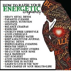 Heavy Metal Detox, Parasite Cleanse, Health Challenges, Healing Frequencies, Digital Detox, Vibrational Energy