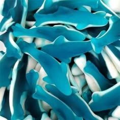 blue and white seaweed are piled together