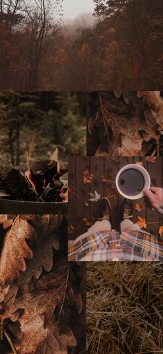 a collage of photos with leaves and a person holding a frisbee