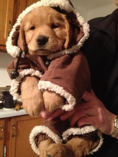 a person holding a dog wearing a coat and hat in a kitchen with wooden cabinets