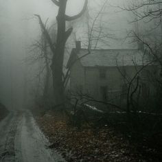 an old house in the fog on a country road with trees and leaves around it