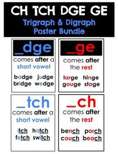 a poster with different types of words and phrases for each word in the text box