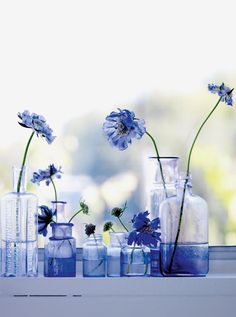 several vases with flowers in them on a window sill