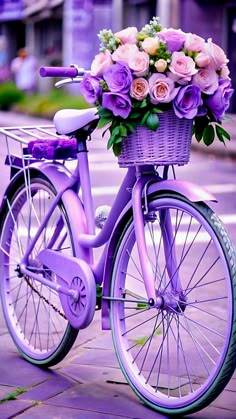 What To Plant In February, Carrying Flowers, Bicycle With Flowers, Purple Bike, Lotus Flower Pictures, Purple Themes, Theme Background, Beautiful Art Pictures, The Color Purple