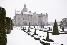 a large building with lots of trees and bushes in front of it on a snowy day