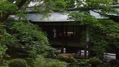 a house in the middle of some trees and bushes with lots of greenery around it