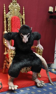 a stuffed animal sitting on top of a golden chair in front of a red wall