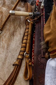 a close up of a horse's bridle and reins