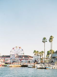 a ferris wheel sits in the middle of a harbor with palm trees and other boats