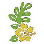 a yellow flower with green leaves is shown in this image, and the words tropical flowers are