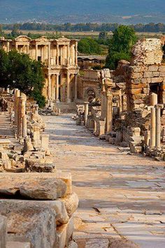 an ancient city with many ruins and trees