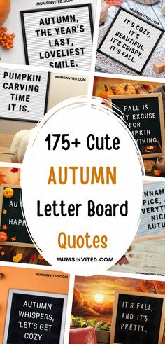 autumn letter board quotes with pumpkins and leaves in the background text reads, 75 + cute autumn letter board quotes