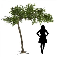 a woman standing next to a tree with her hands on her hips